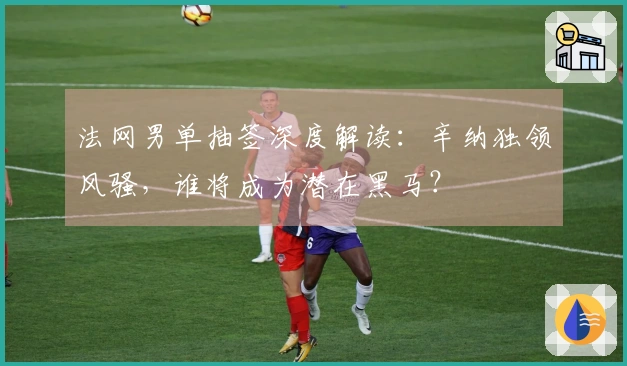 法网男单抽签深度解读：辛纳独领风骚，谁将成为潜在黑马？