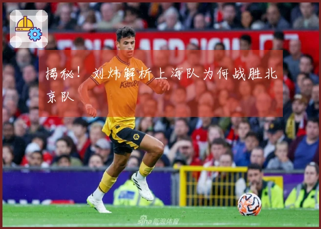 揭秘！刘炜解析上海队为何战胜北京队